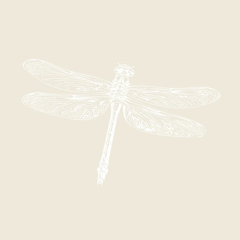 Flying dragonfly