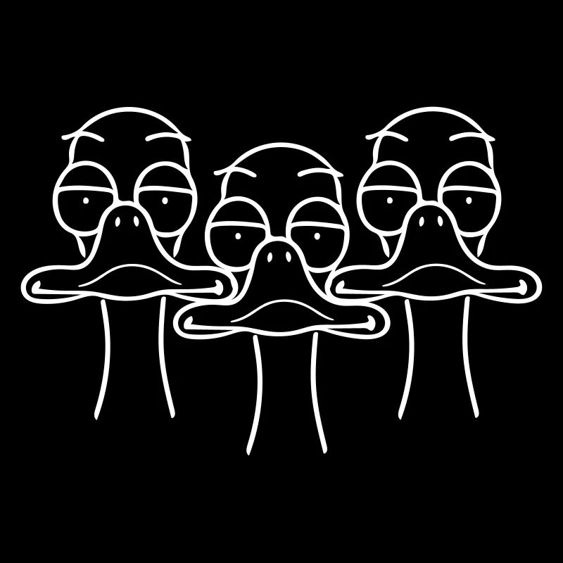 Three funny ducks