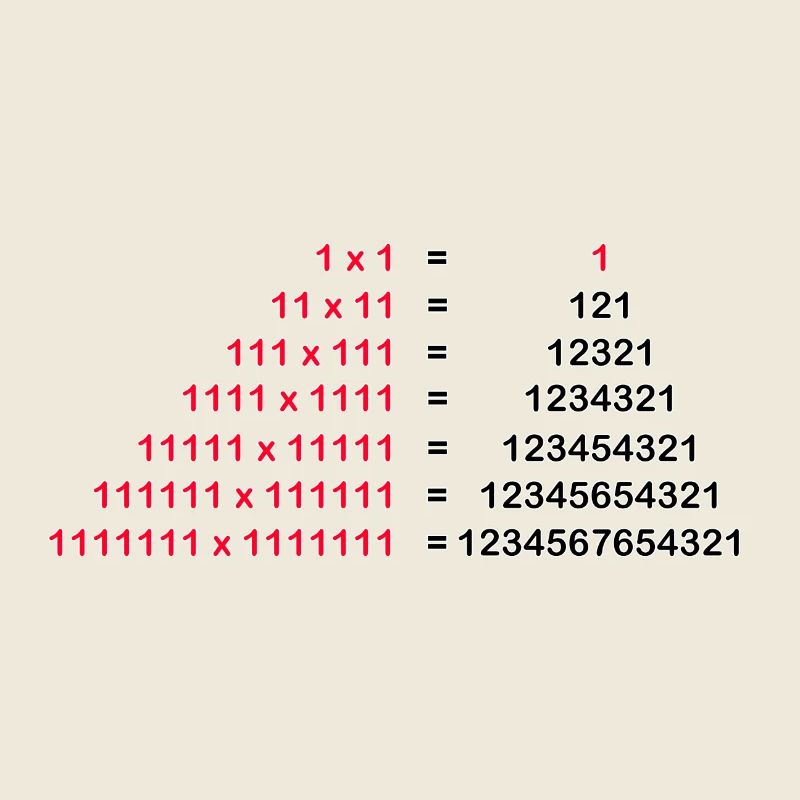Number Palindrome Mathematics Physics 1x1 1^2 Gift
