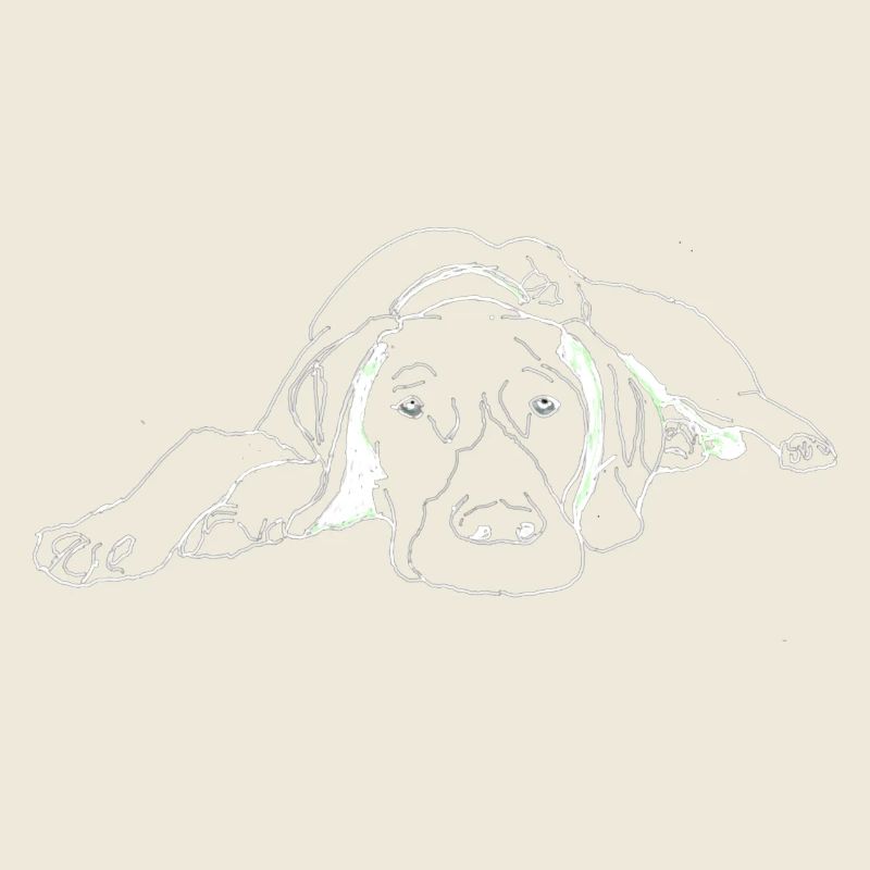 Pointer German Shorthair