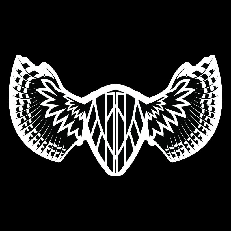 The Mystical Winged Ancient Shield