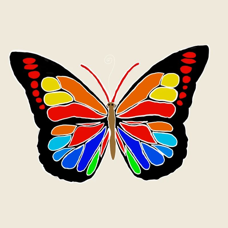 Regenbogen Schmetterling 