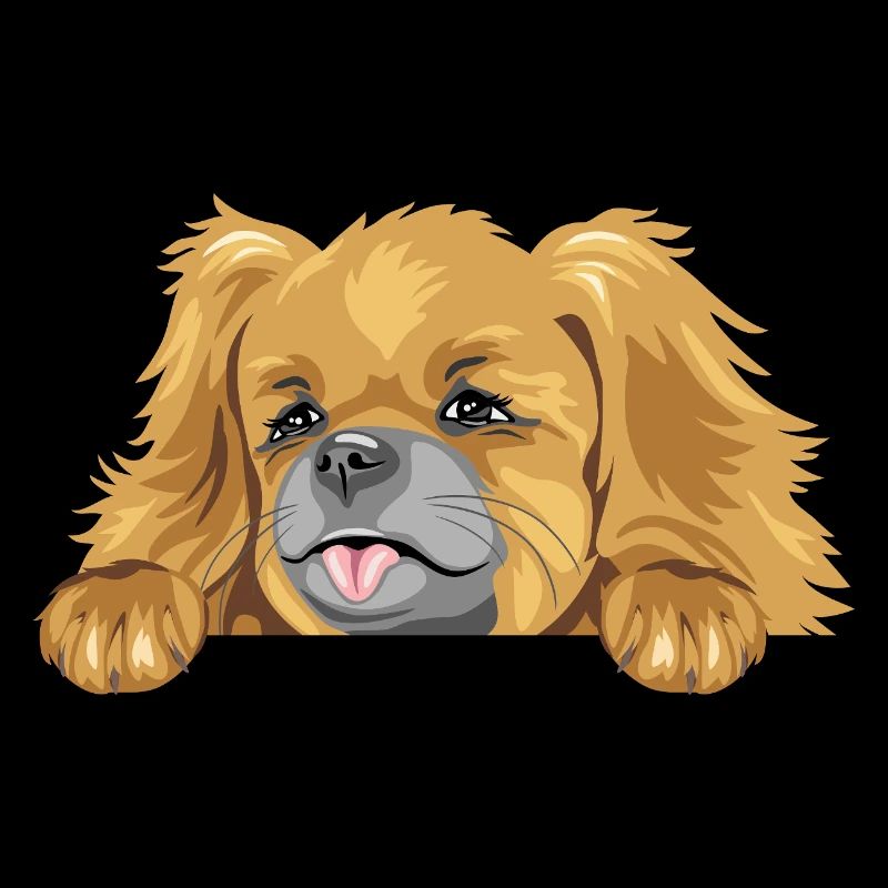 Chien pékinois