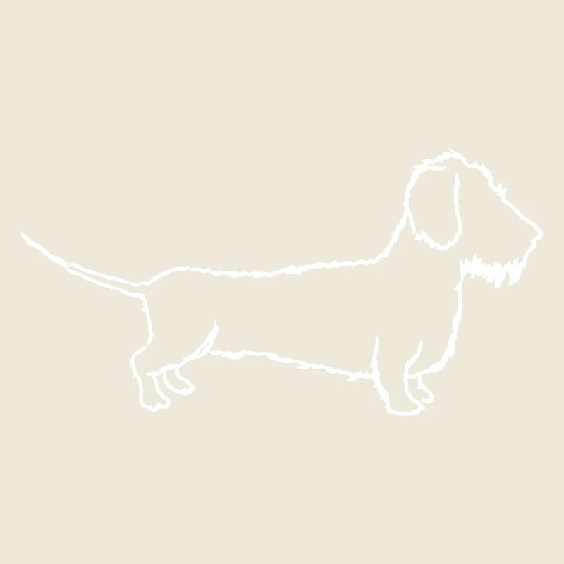 Teckel, teckel à poils durs, teckel, amour du chien