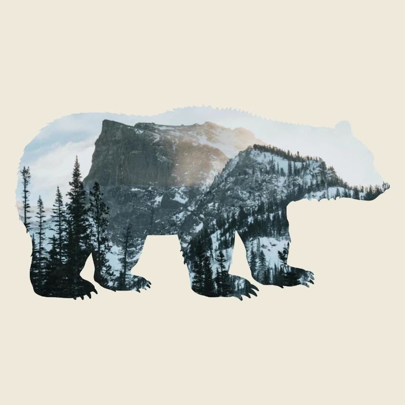 Bear Nature Conservation Mountains Forest Landscape