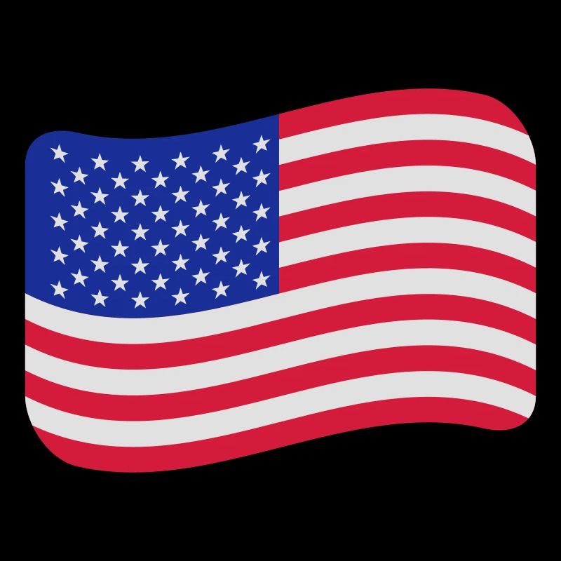usa flag