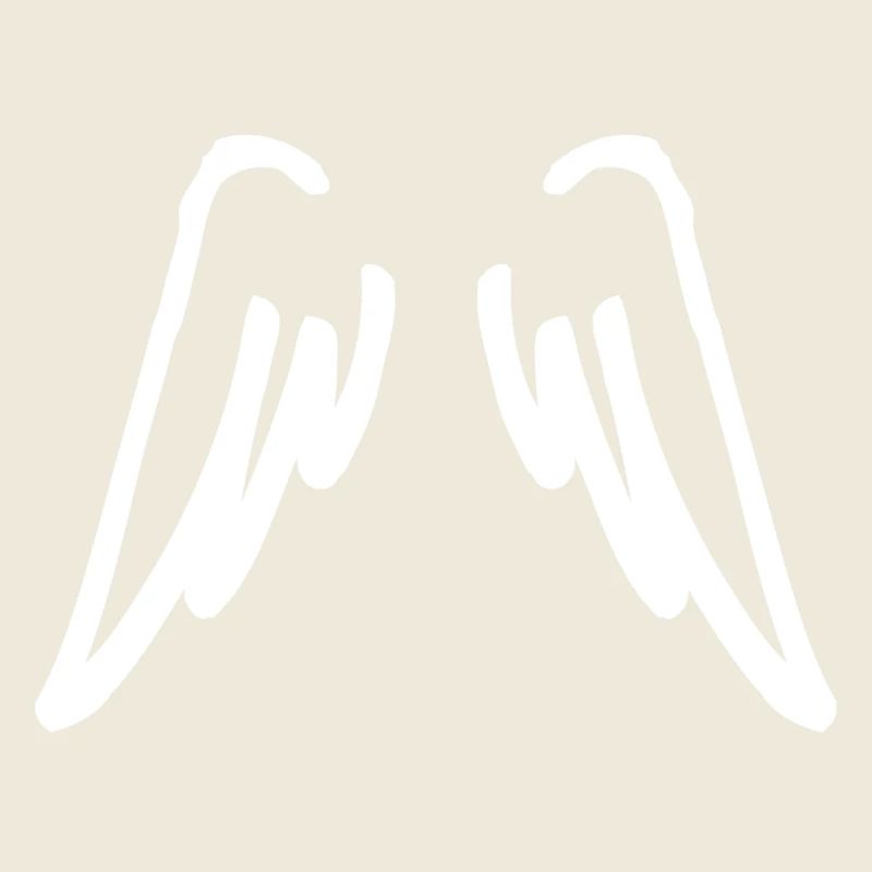 ailes d'ange blanches