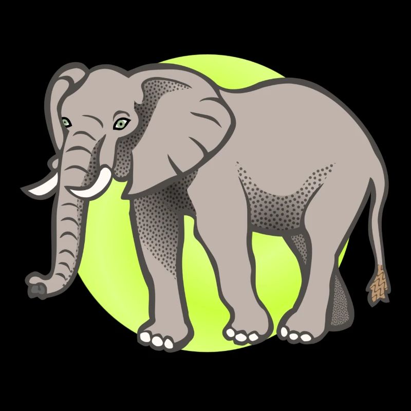 Elephant Elephant Cirque