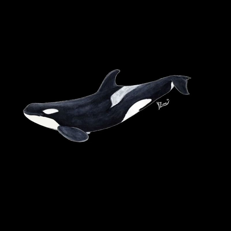 Orca - Schwertwal - ecause