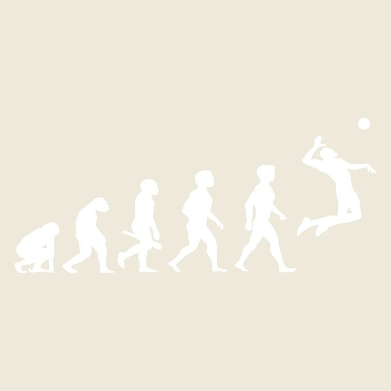 Evolution Beach Volleyball Player Sport