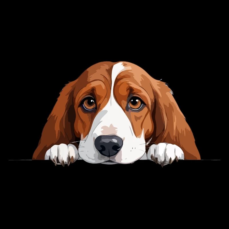 Basset Hound Peeking Mignon Adorable Drôle Animal