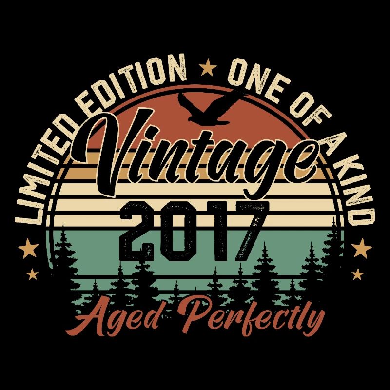 Vintage 2017 Retro 2017 Birthday Gift 2017