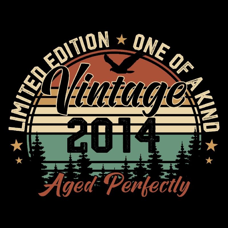 Vintage 2014 Rétro 2014 Cadeau D'anniversaire 2014