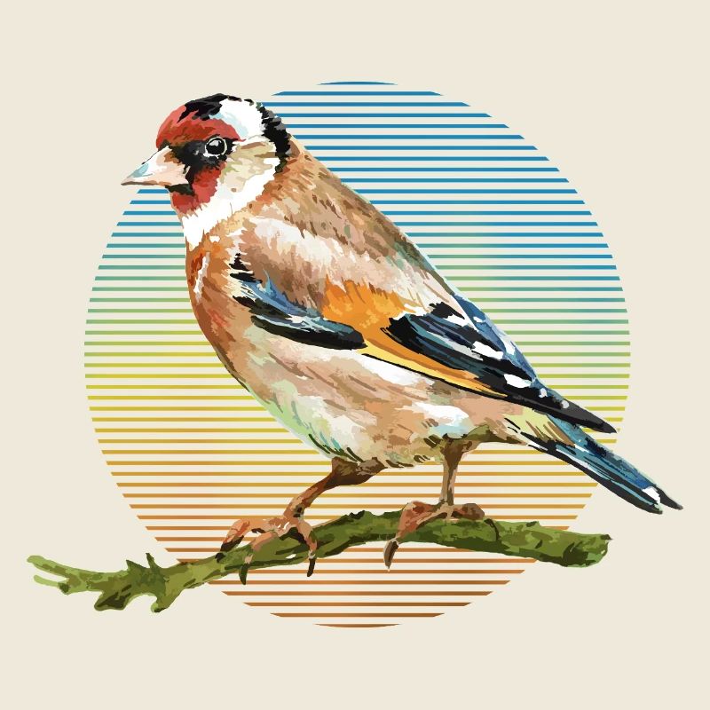 Colorful bird
