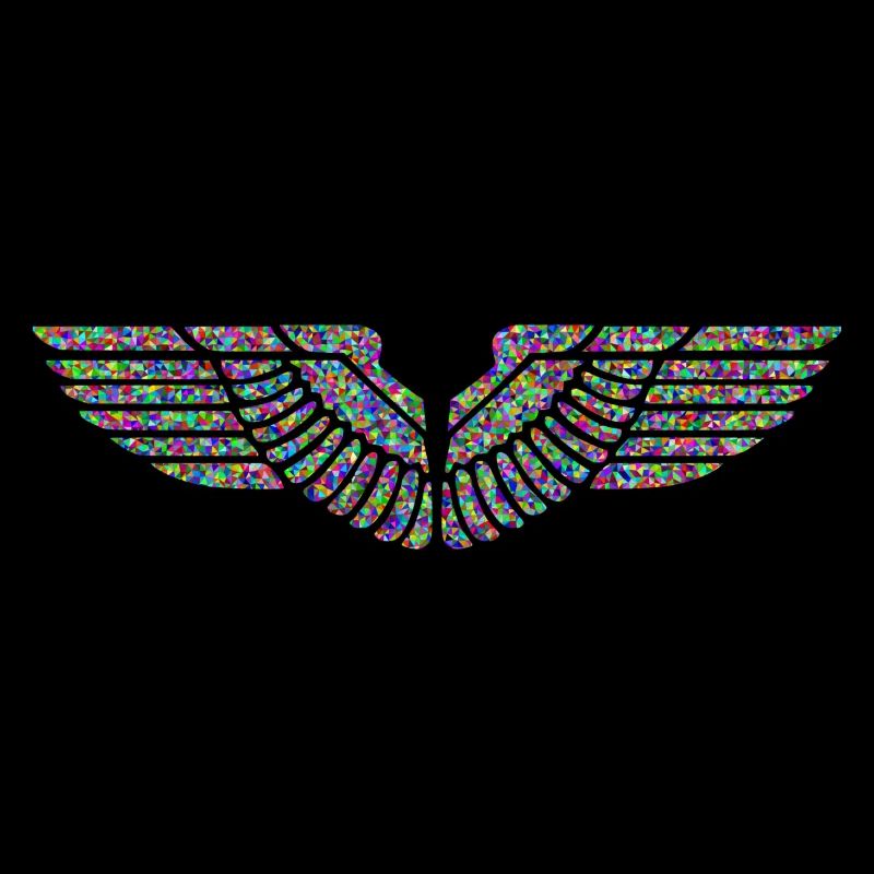 Eagle Wings Neon Gift Geometric