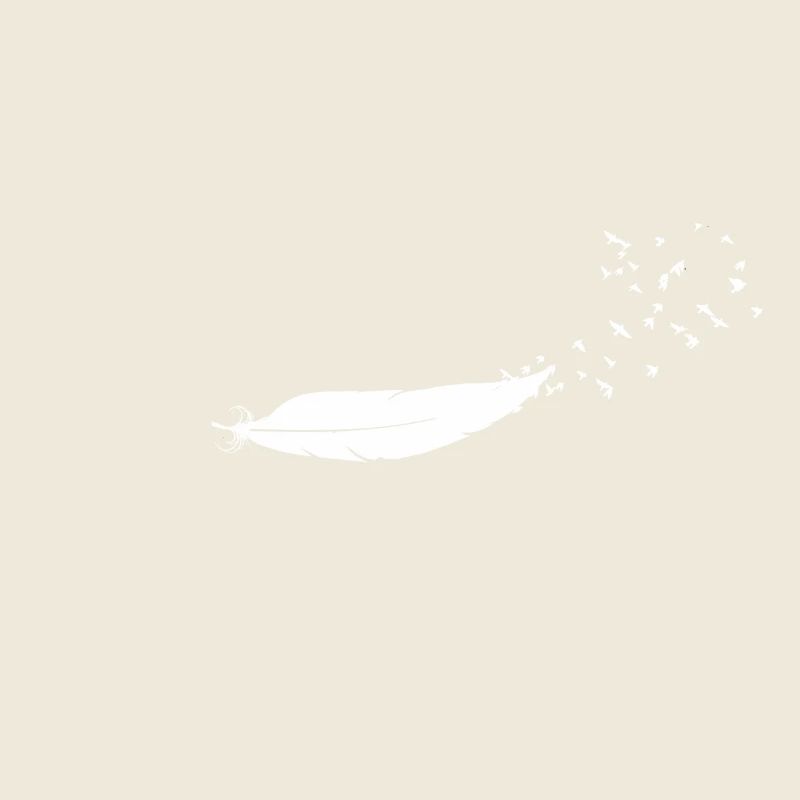 Oiseaux blanc liberté