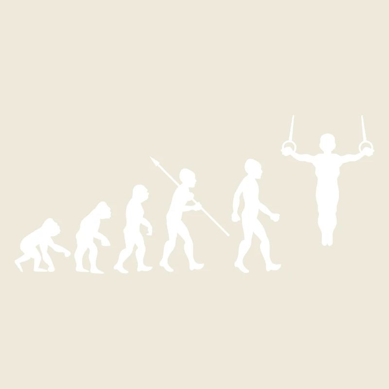 Evolution Gymnastics Gymnastics Acrobatics Gymnastics