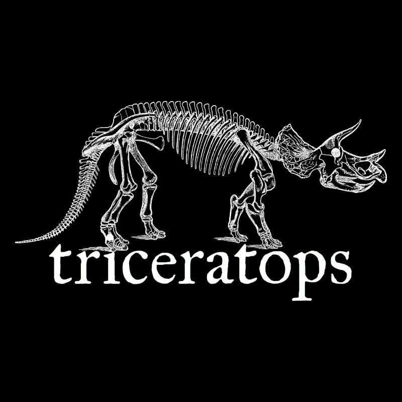 Triceratops dinosaur