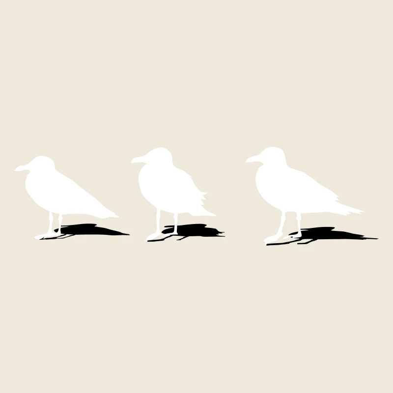 mouette port mer