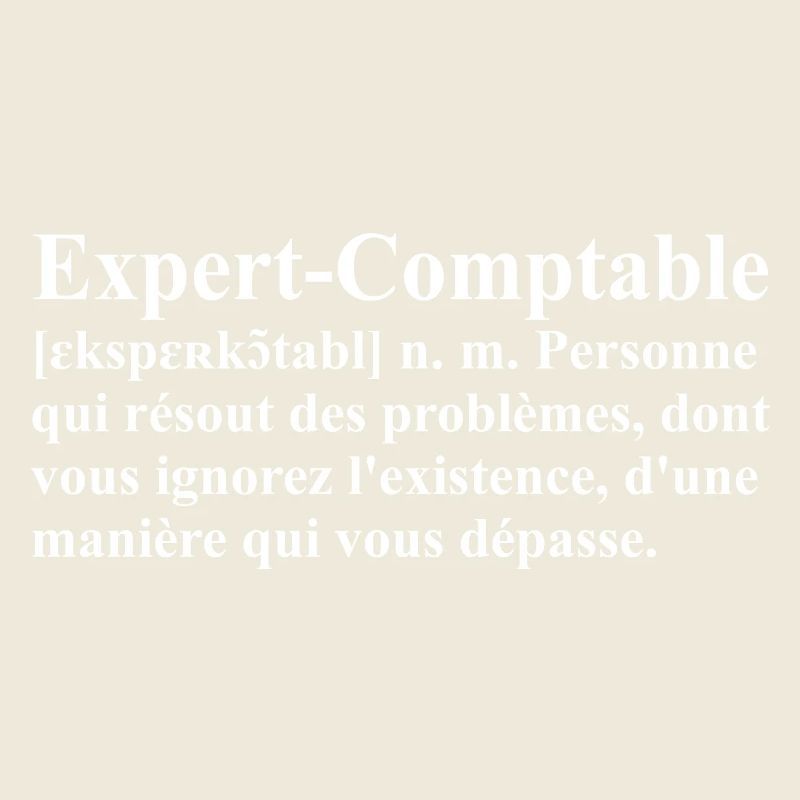 Expert-Comptable Définition