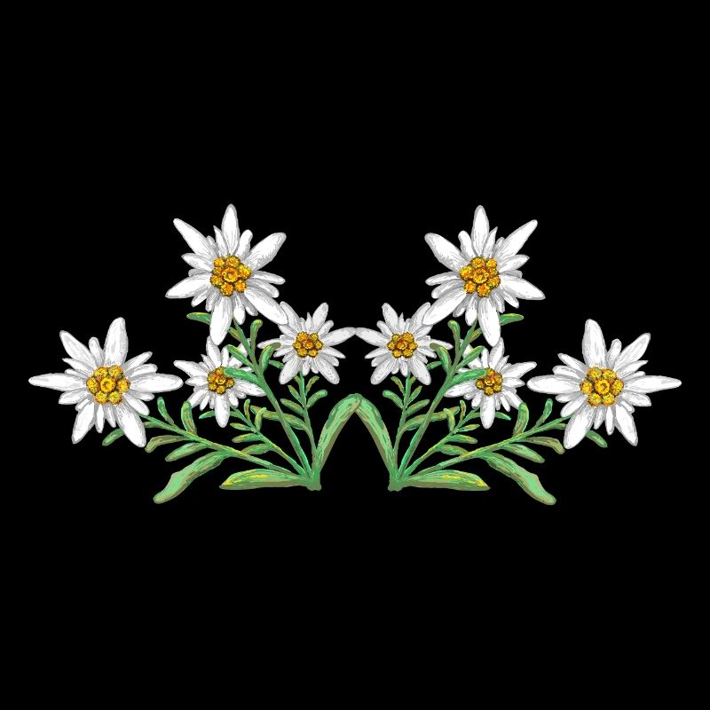 Edelweiss
