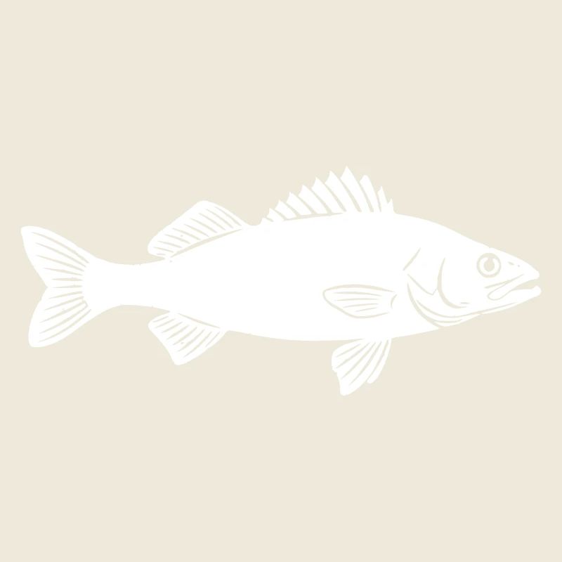 Spiny Knight: Mysterious Zander Statement