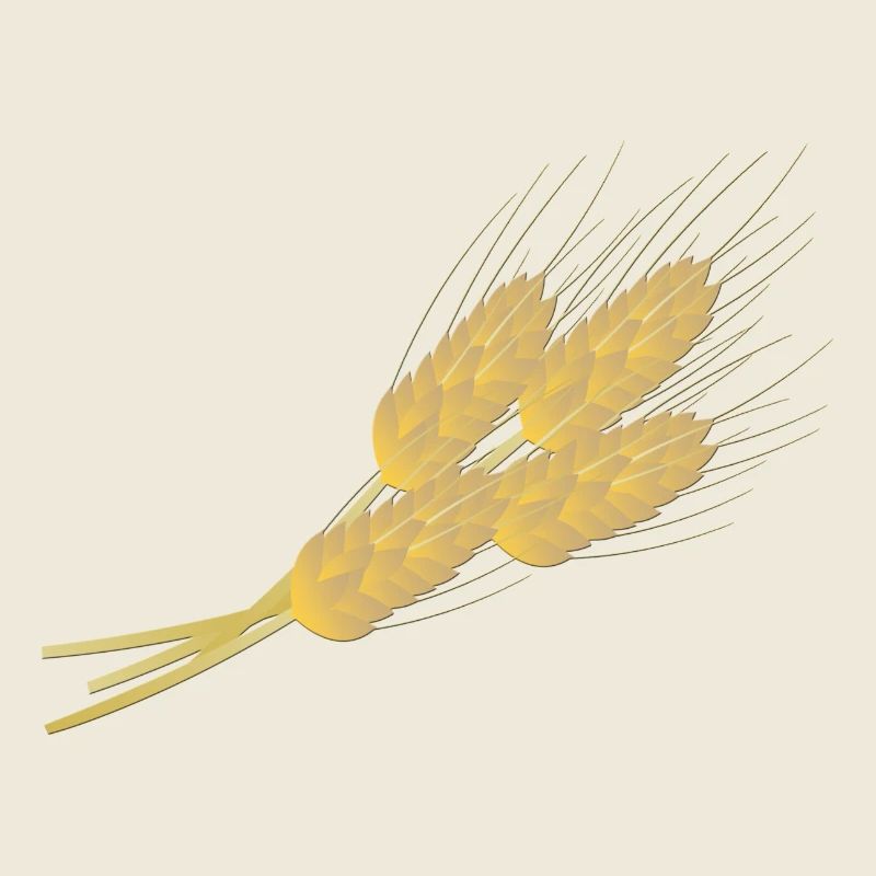 cereals corn cereal wheat wheat veggie gemuese v