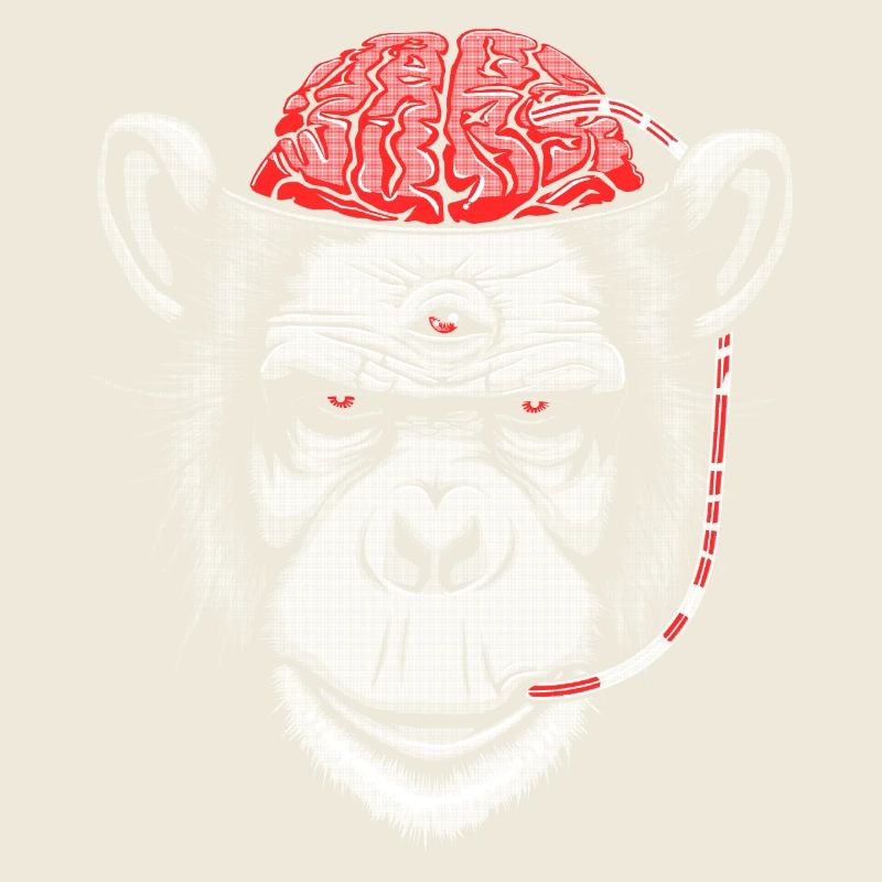 Brain Chimp 2