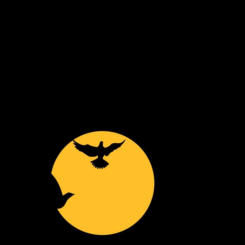 Oiseaux au coucher du soleil