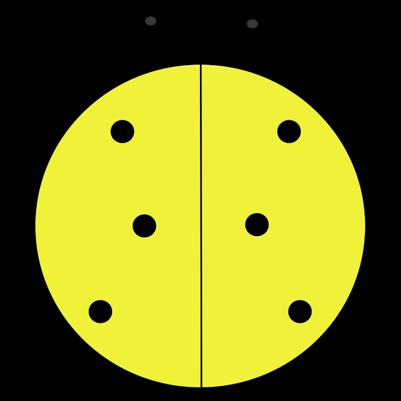 Coccinelle Jaune à Points Noirs