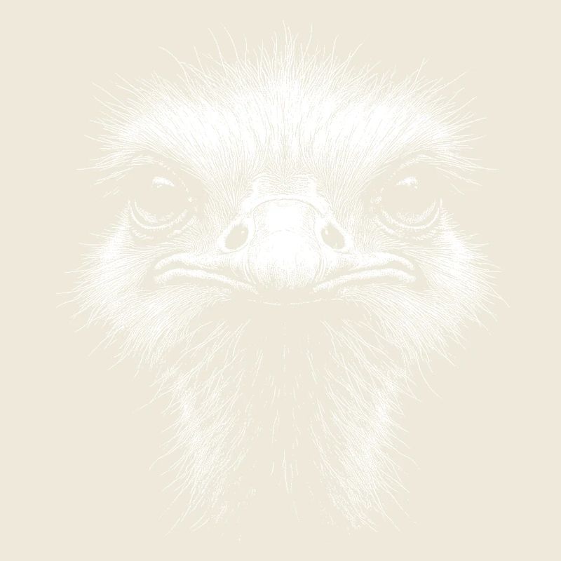 Ostrich Head