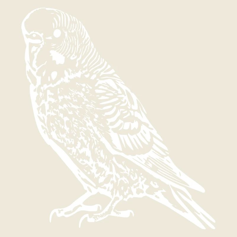 Perruche perrucheuse blanc