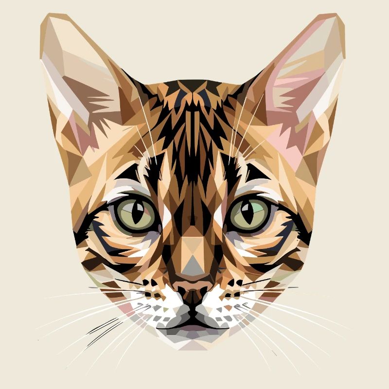 Bengal Katze Leopard Cat Leopardette Bengal Katzen