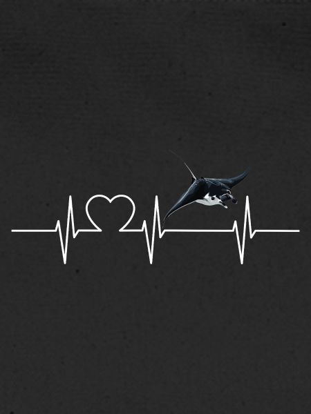 Rochen Mantarochen