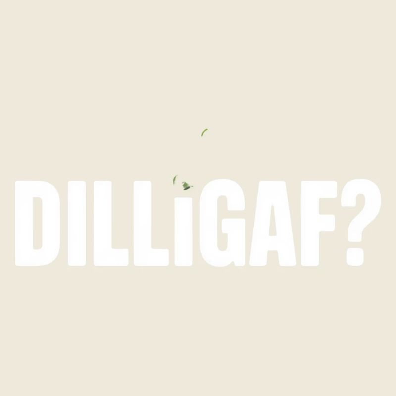 DILLIGAF Humour Dire Sarcasme Déclaration