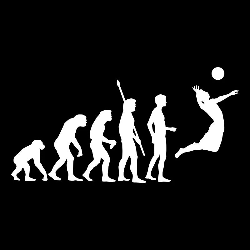 evolution_volleyball_1c