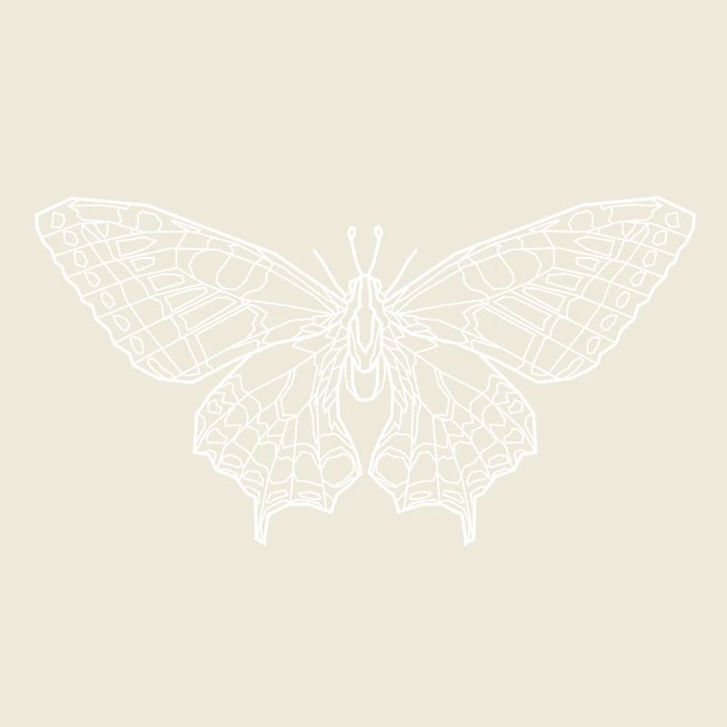Butterfly white