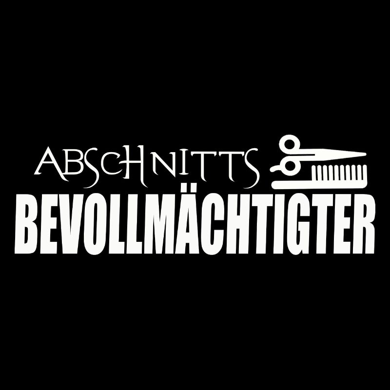 ABSCHNITTSBEVOLLMÄCHTIGTER