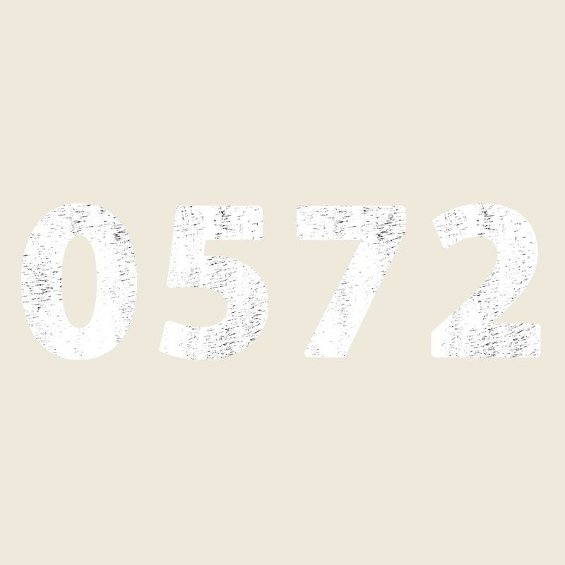 0572 Deventer Raalte Dalmsholte Lemele Heeten