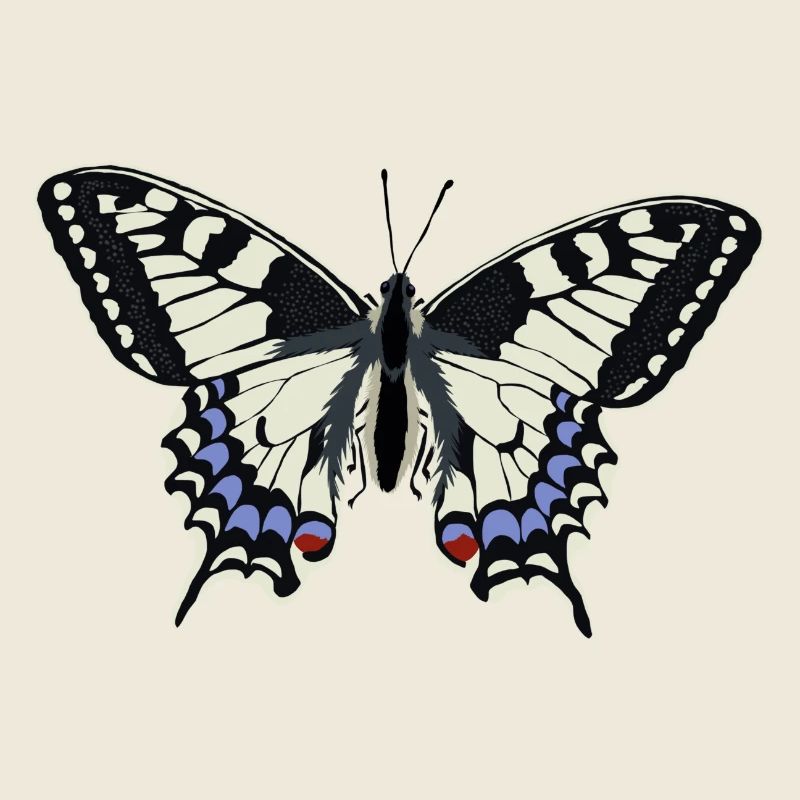 Schmetterling