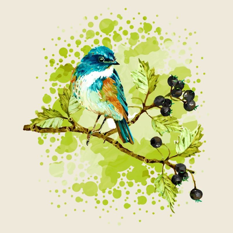 Bird