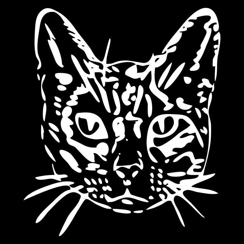 Katze, Mieze, Miezekatze, Geschenk, Geschenkidee