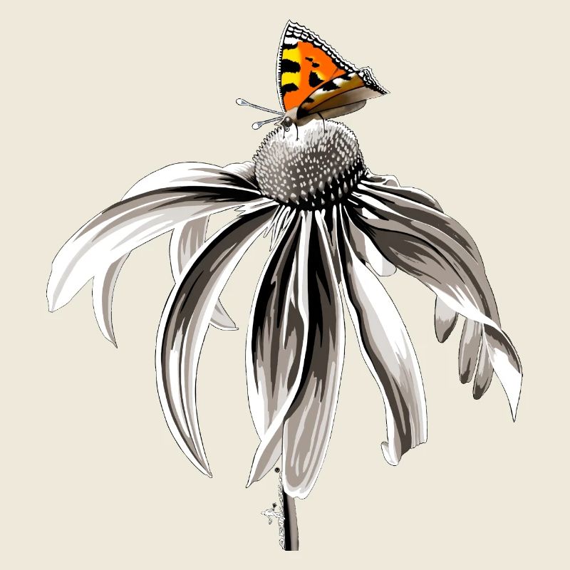 Schwarzweiß Blume mit Schmetterling kleiner Fuchs