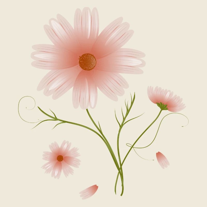 belle illustration de fleurs roses de fleur de cosmea