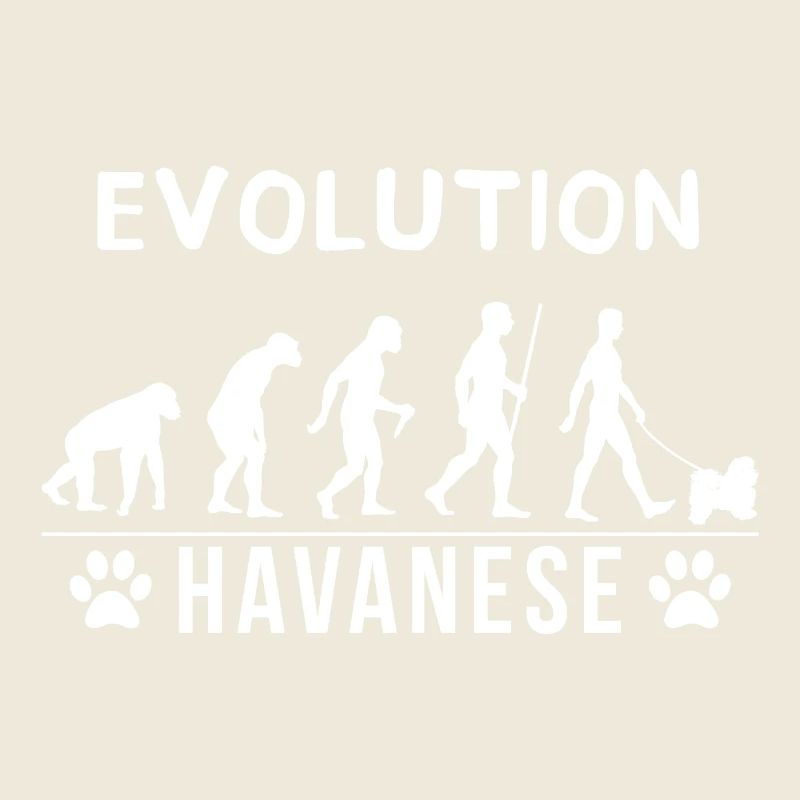 évolution havanais