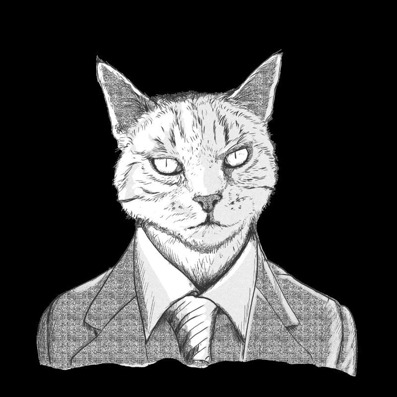 katze1