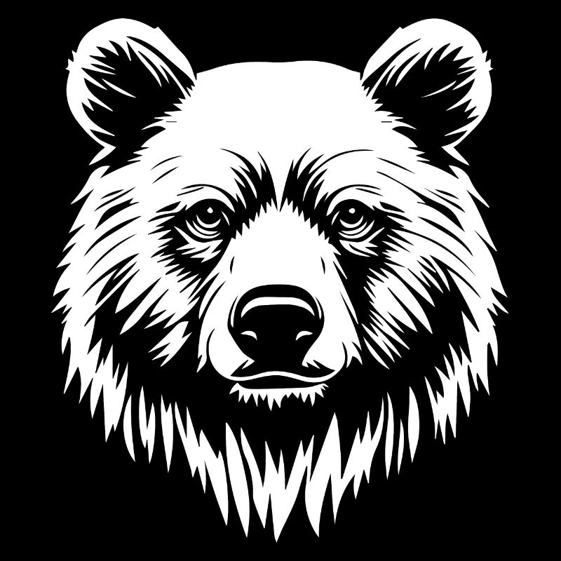 Bear Grizzly Brown Bear