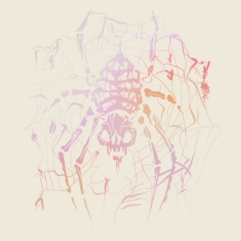 Skeleton Spider