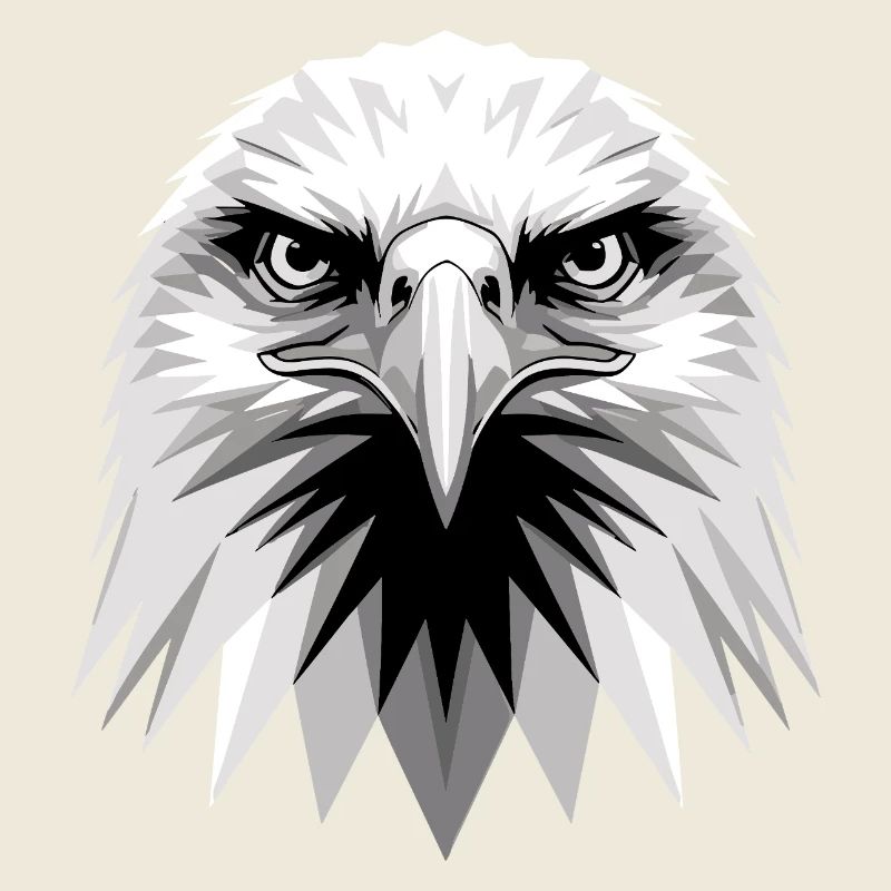 Eagle Bald Eagle Golden Eagle White-tailed Eagle