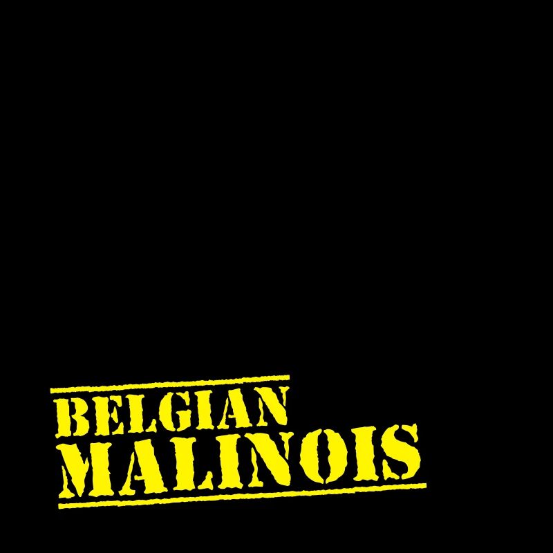 Malinois